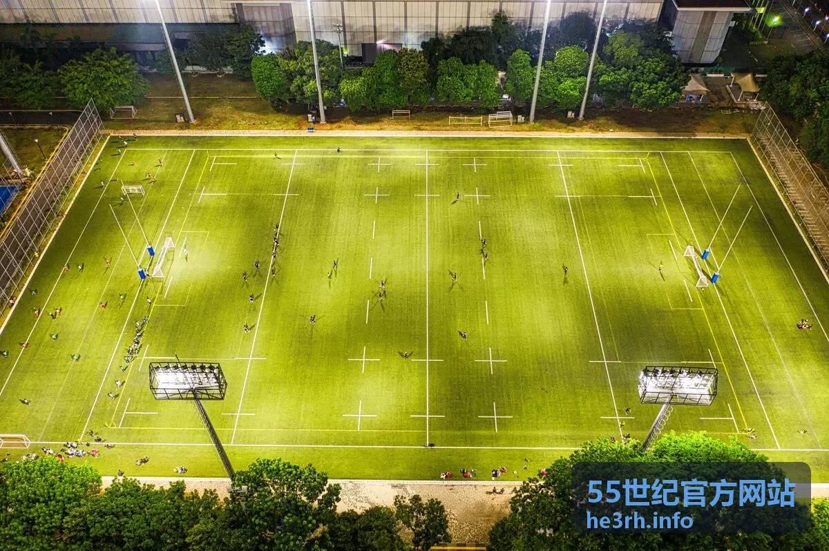 55世纪官方网站平台功能与使用指南